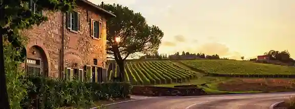 best places to stay barossa valley