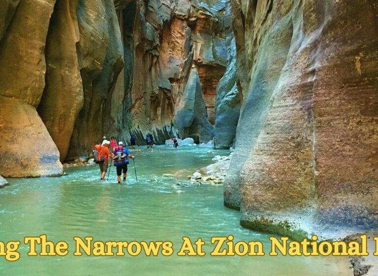 Hiking The Narrows At Zion National Park