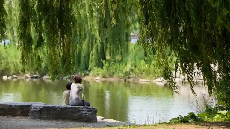 Best Places To Visit In Brampton