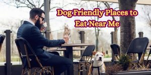 Dog Friendly Places to Eat Near Me