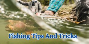 Fishing Tips And Tricks