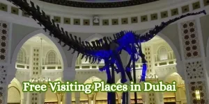 Free-Visiting-Places-in-Dubai