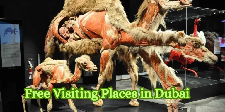 Free Visiting Places in Dubai