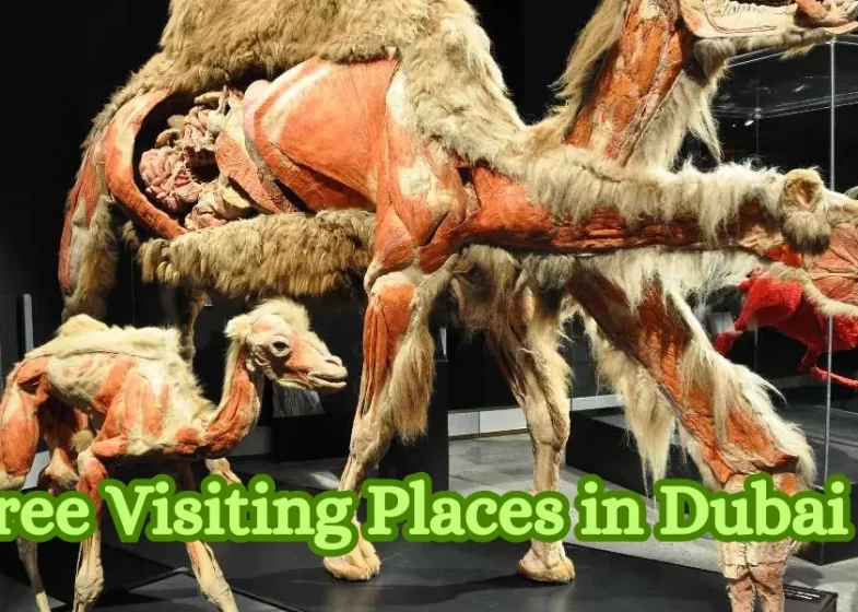 Free Visiting Places in Dubai