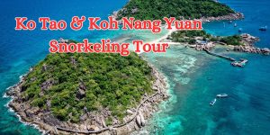 Ko Tao & Koh Nang Yuan Snorkeling Tour (1)