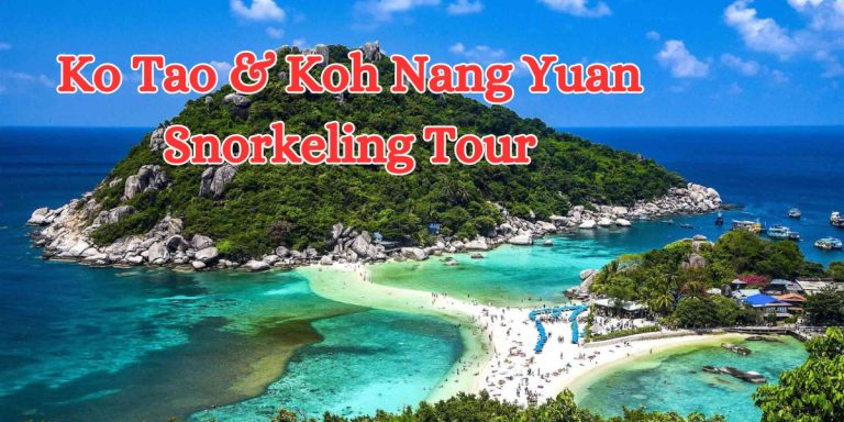 Ko Tao & Koh Nang Yuan Snorkeling Tour (1)