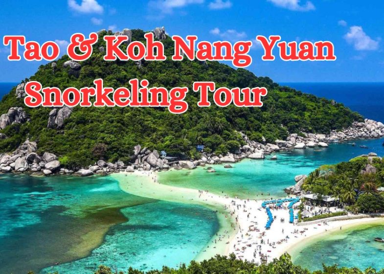 Ko Tao & Koh Nang Yuan Snorkeling Tour (1)