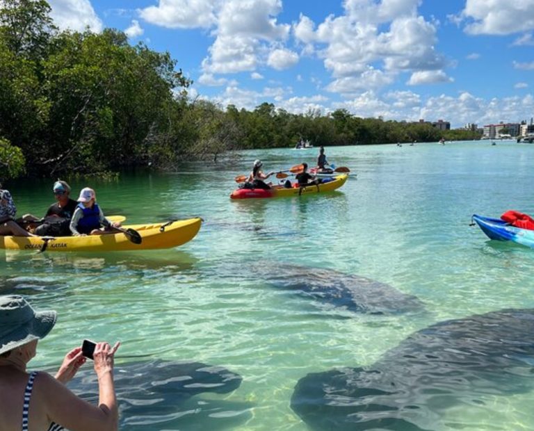 kayak tours naples