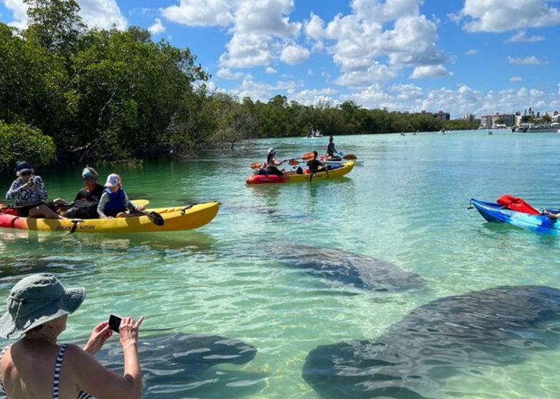 kayak tours naples