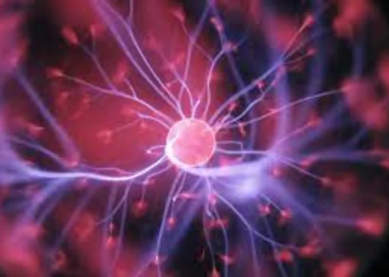 cornerways-medical-center