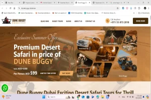 Dune Buggy Dubai Tours