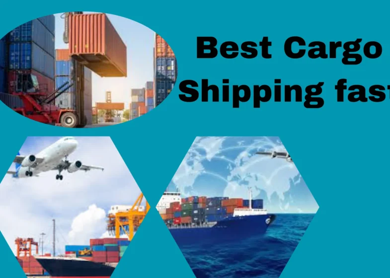 Best Cargo to India from Dubai with Buddy Movers Shipping fast