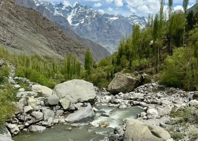 Find Serene Escapes on Cool Walking Trails Near Me