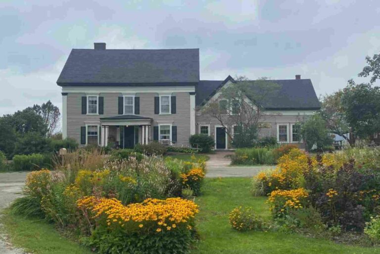 Wildflower Bed And Breakfast Mountain View Ar