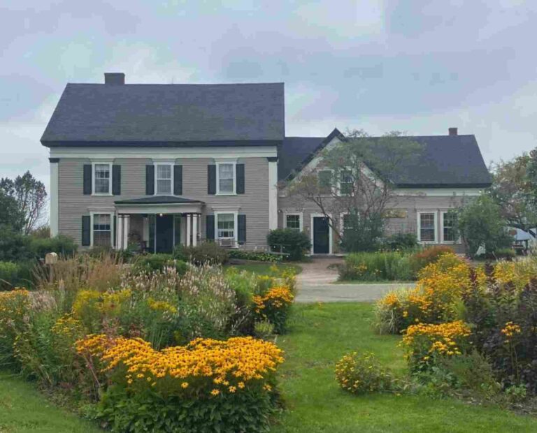 Wildflower Bed And Breakfast Mountain View Ar