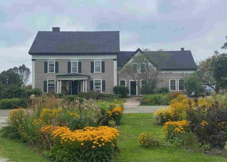 Wildflower Bed And Breakfast Mountain View Ar