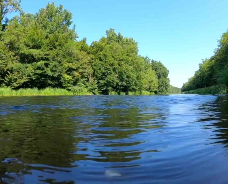 Dorcas Mountain View AR