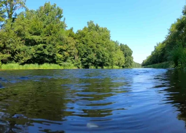 Dorcas Mountain View AR