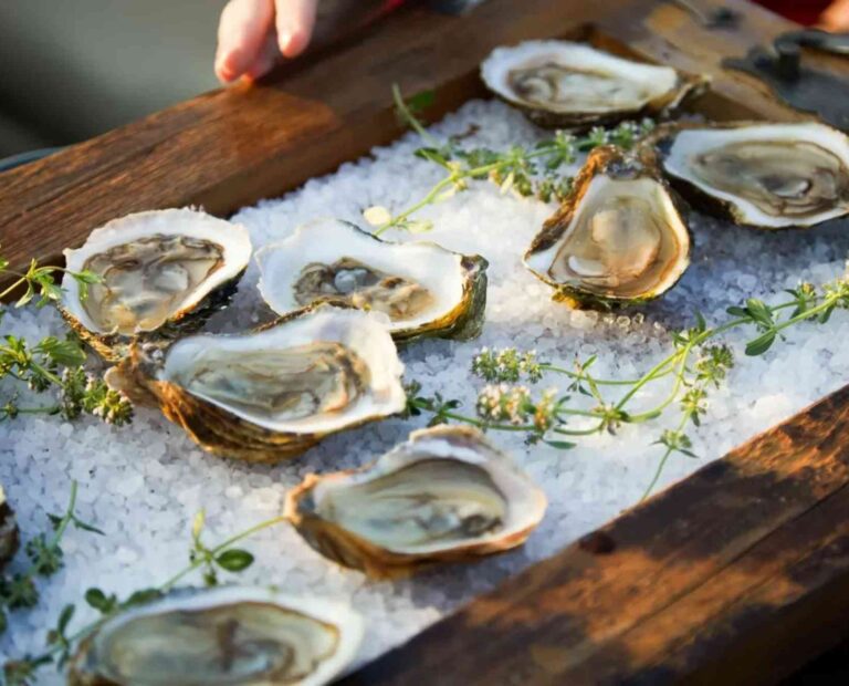 Drunken Lobster in Mountain View