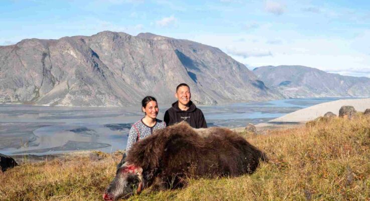 Where to Hunt for Value and Taste