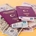 Turkish E Visa Price in 2026 Total Cost, Fees & Process