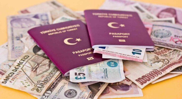 Turkish E Visa Price in 2026 Total Cost, Fees & Process