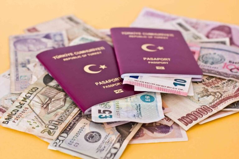 Turkish E Visa Price in 2026 Total Cost, Fees & Process