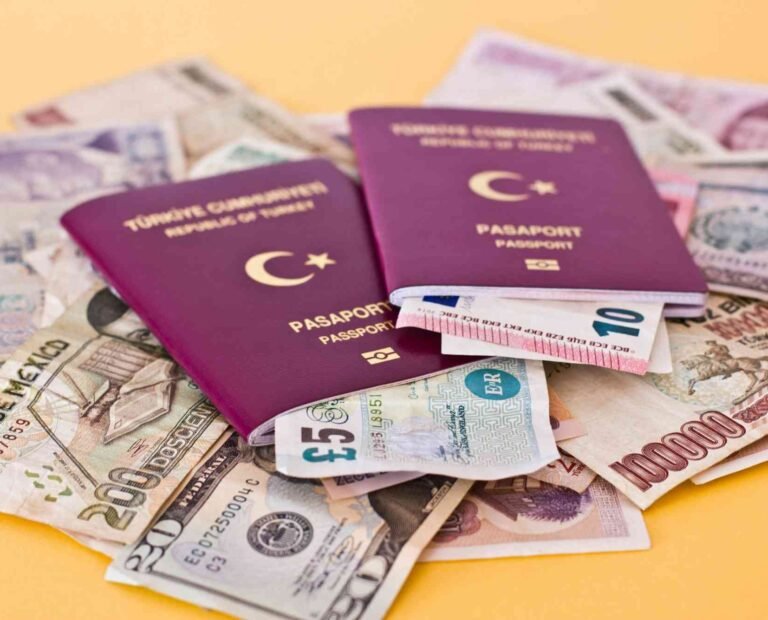 Turkish E Visa Price in 2026 Total Cost, Fees & Process